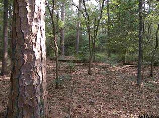 LOT 98 W Holly Trl #98, Hawkins, TX 75765