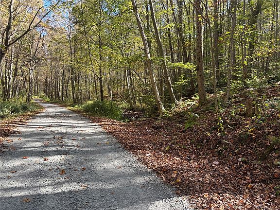 2nd image of LOT 1 Neals Run Rd