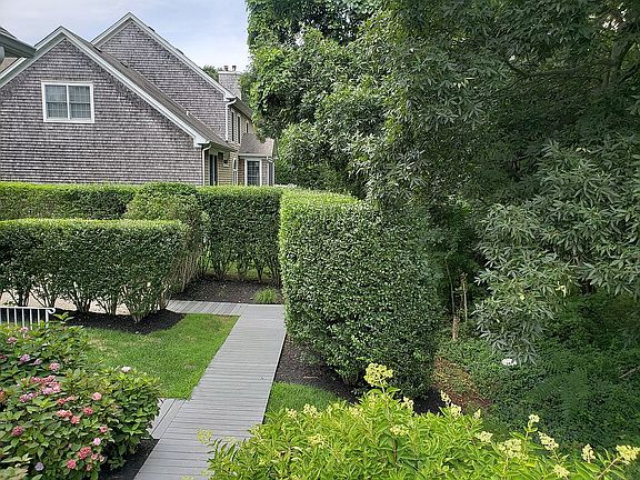 SIDE YARD