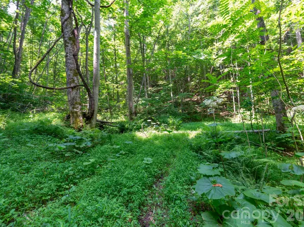 Board Tree Rd #3, Marshall, NC 28753