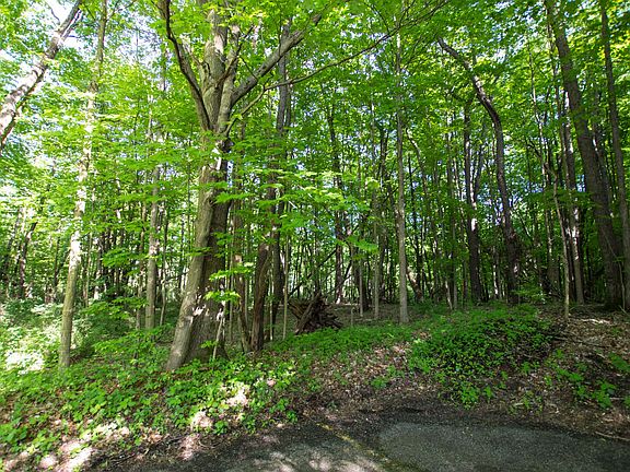3rd image of Pokagon Hwy