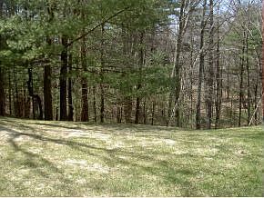 4th image of 67 Ledgewood Dr