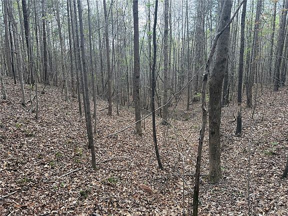 5th image of 0 Ridgedale Rd