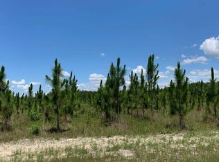 397 SE Schooner Way, Lee, FL 32059