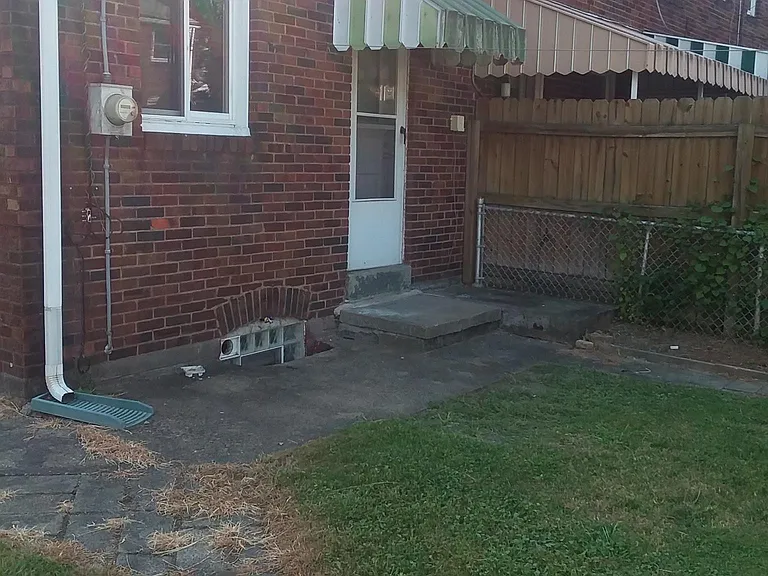 back yard