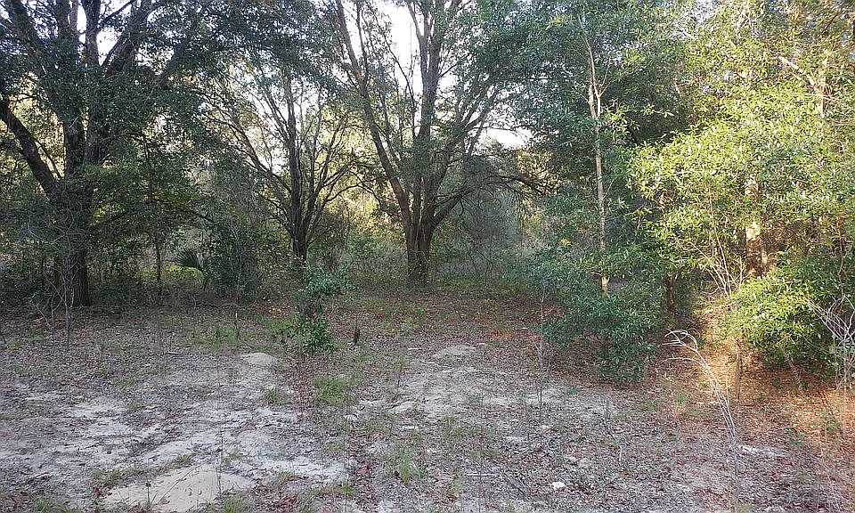 2nd image of 4575 E Posselt Dr
