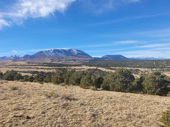 County Road 351, Gardner, CO 81040