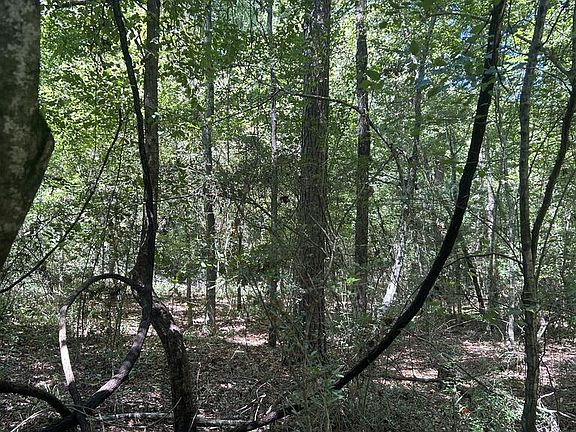 3rd image of Pid 30031 County Rd #2919