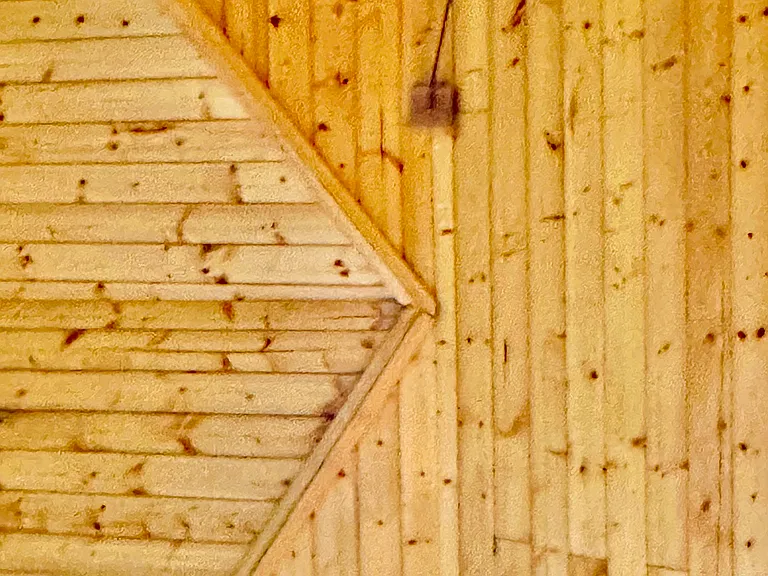 Ceiling detail