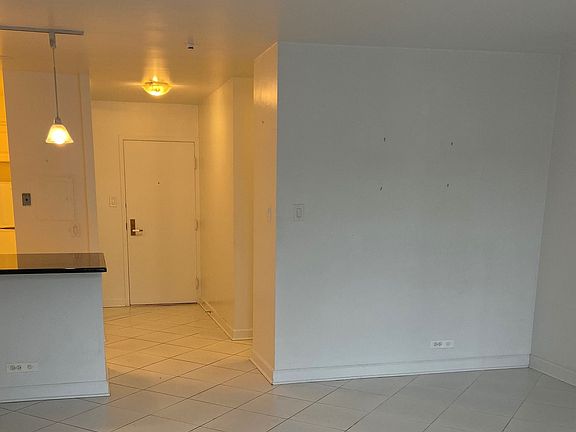 3rd image of 777 N Michigan Ave APT 2005