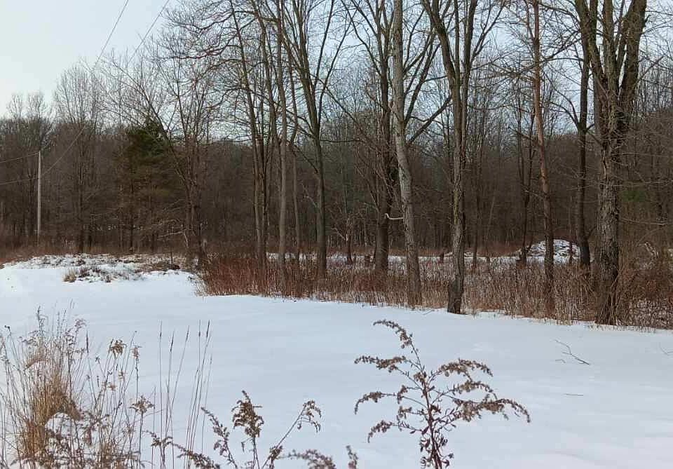 1st image of Secluded Acres Dr