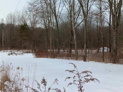 Secluded Acres Dr, Hastings, MI, 49058