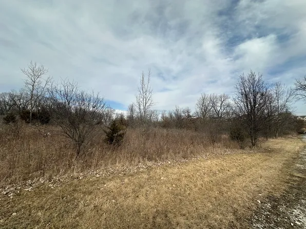 LOT 7 W Cinnamon Creek West Ln, Homer Glen, IL 60491