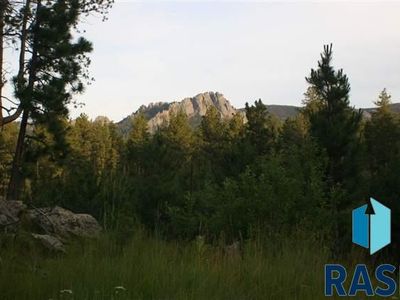 Tbd Other Tbd Palmer Pond Est, Hill City, SD, 57745