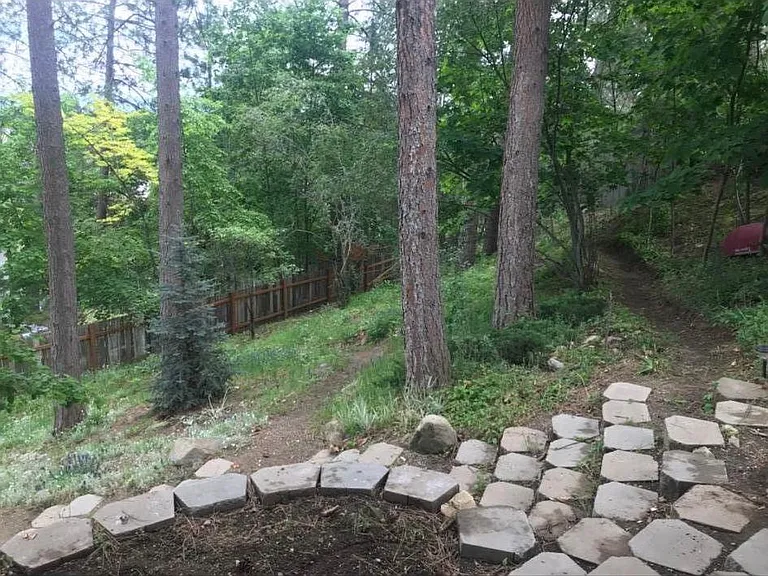 Back yard