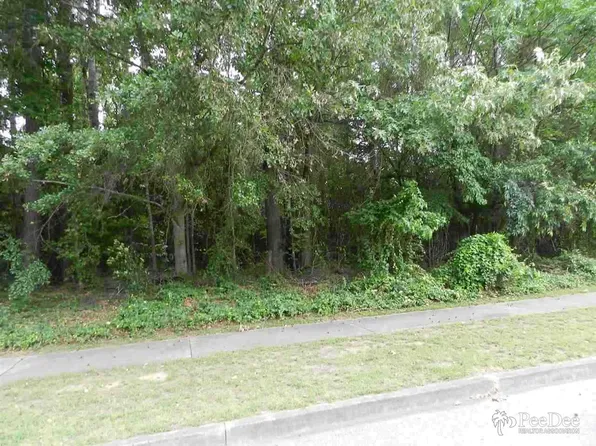 1313 Place De Julian, Florence, SC 29501