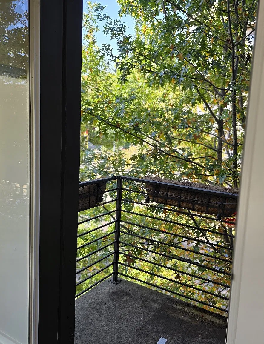 3 bed, $3,200 — Photo 1