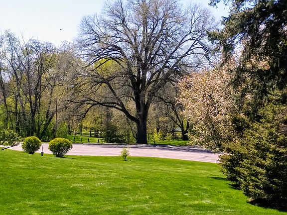 Backyard View of Dartts Park