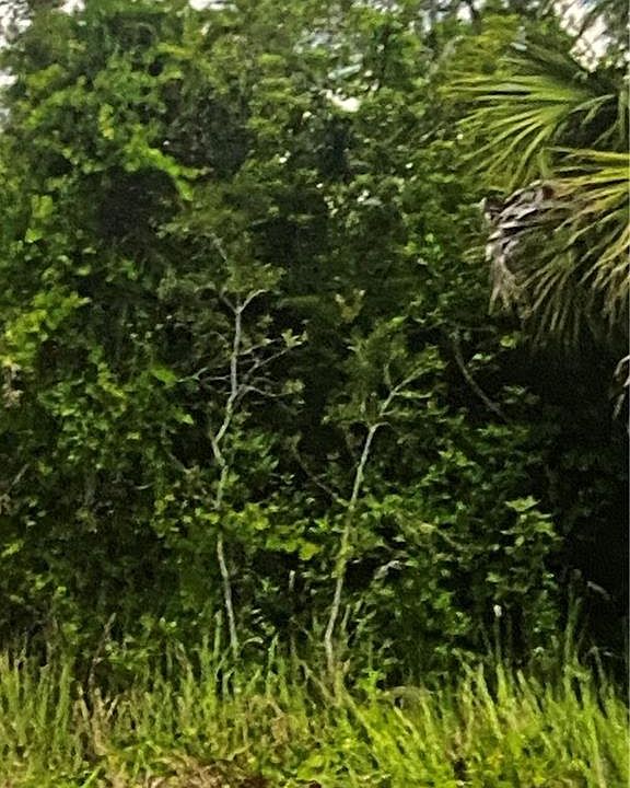 2nd image of 6007 Rita AVE N