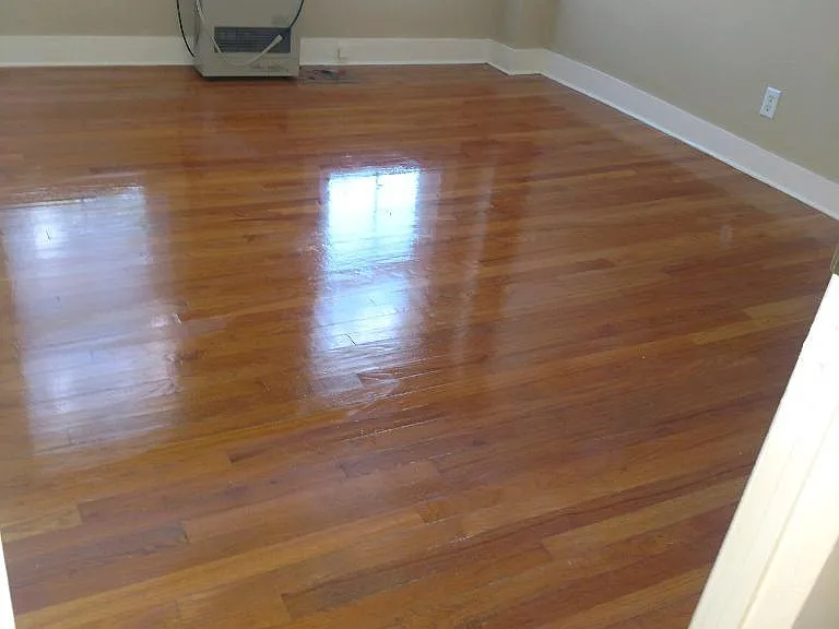 343 Windham Center Rd #5 — Photo 3