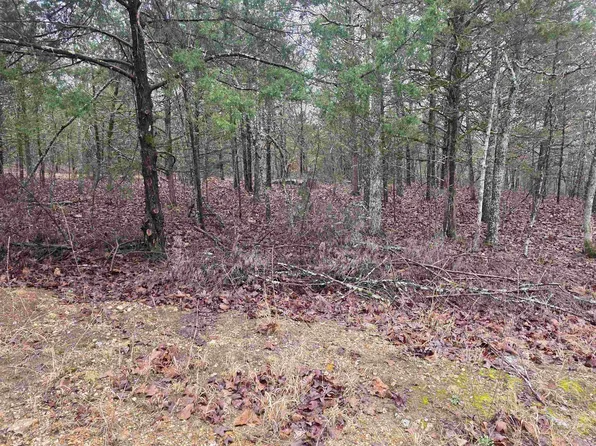 L-86 Gettysburg Dr #B, Cherokee Village, AR 72529