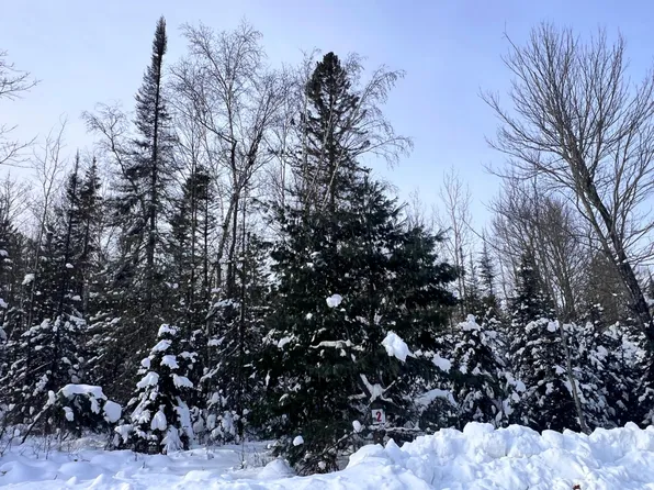 2 Butternut Cir, Eagle River, WI 54521