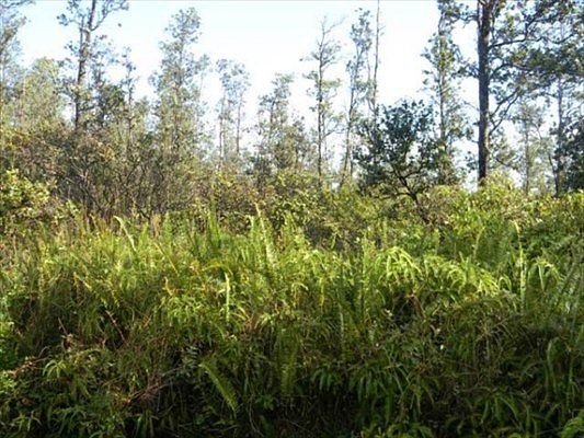 5th image of Sugarcane Ln