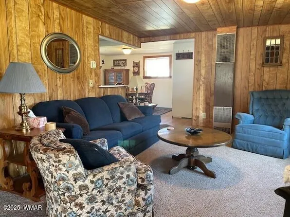 14 County Road 2117, Alpine, AZ 85920