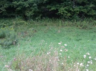 Charlotte Creek Rd, Davenport, NY 13750