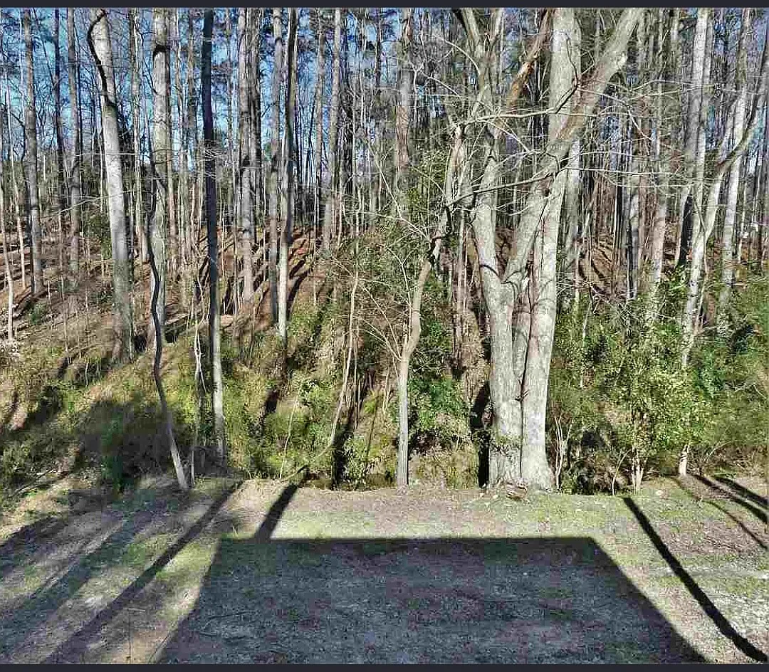 3 bed, 1642 sqft, $1,850 — Photo 3