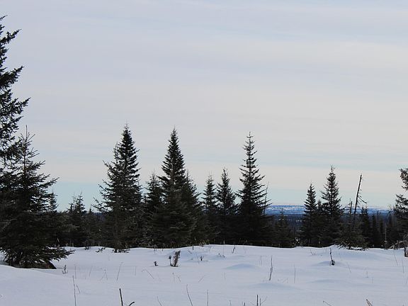 5th image of L5 & L8 Ten Echo Acres