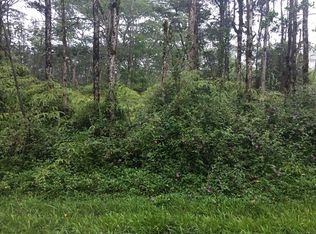 Lehua Rd, Pahoa, HI 96778