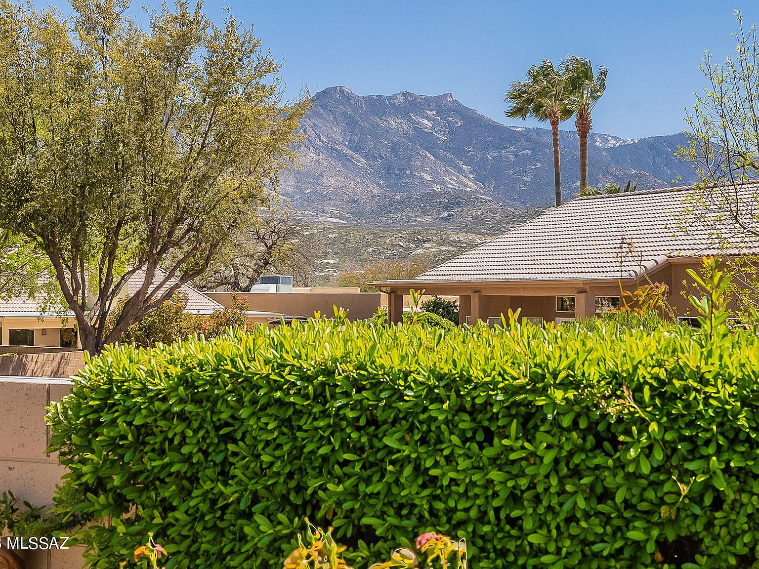 37855 S Cleek Dr, Saddlebrooke, AZ 85739 Zillow