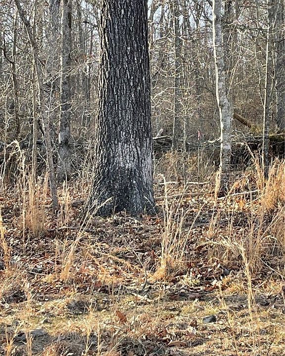 1st image of Rockhill Ln #14