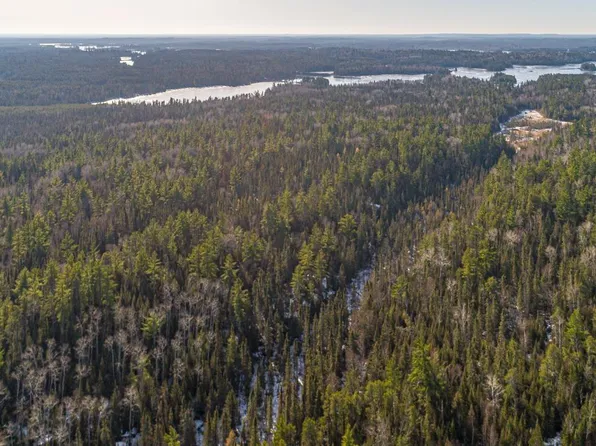 Delta Lake Rd, Ely, MN 55731