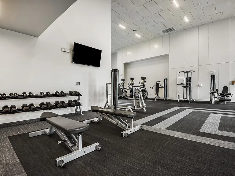 Light-Filled Gym with Dumbbells, Cardio Machines, and Flat-Screen TV