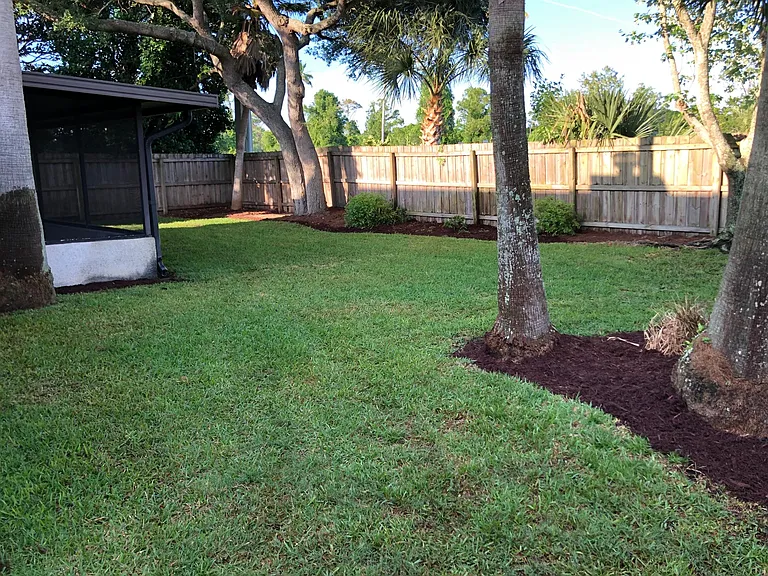 Backyard (2)
