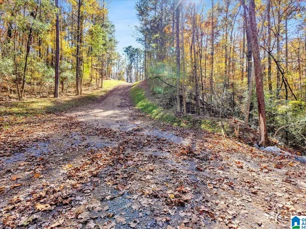 0 Hammock Rd #0, Trussville, AL 35173
