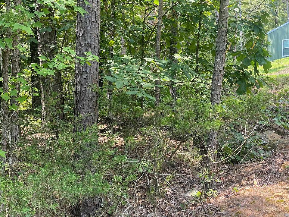 2nd image of 0 Cove Creek Rd
