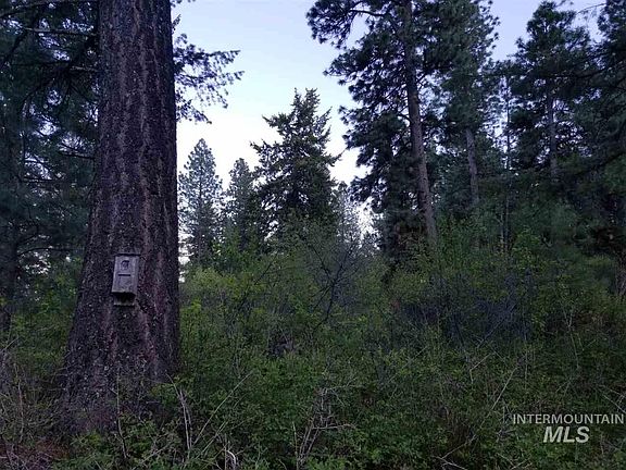 2nd image of Tbd Boise County Idaho City
