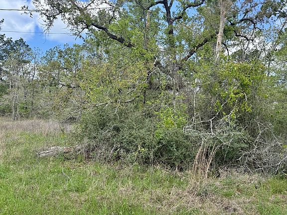 3rd image of 251 William Thomas Rd