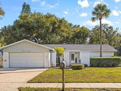 2824 Rustic Oaks Dr, Palm Harbor, FL, 34684