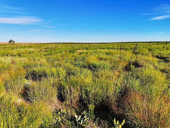 3rd image of County Road 35