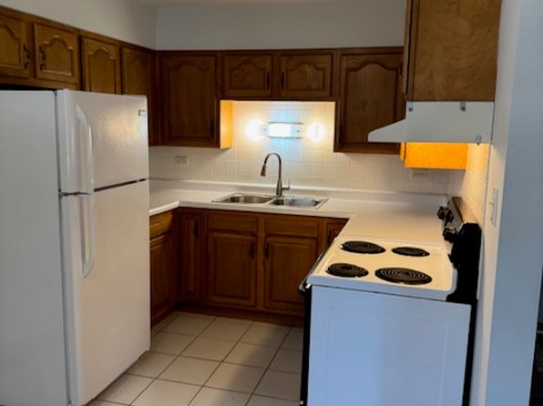 4329 West Park Lane Drive - 1D | 4329 W Park Lane Dr, Alsip, IL
