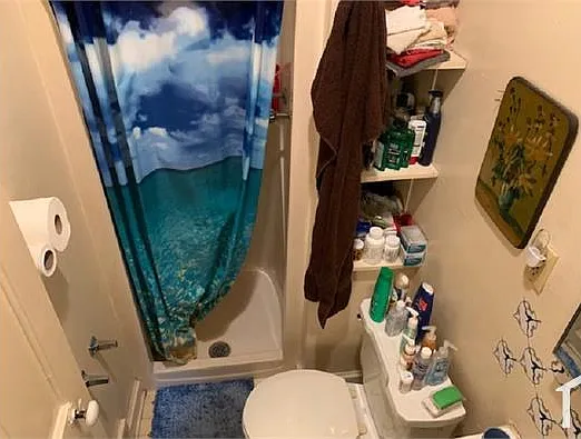 1 bed, $900 — Photo 3