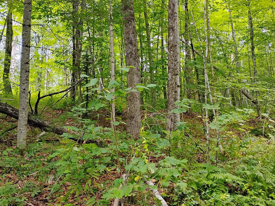 1st image of xx Washburn Road