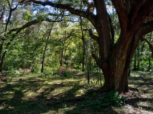 5005 SW 63rd Blvd, Gainesville, FL 32608