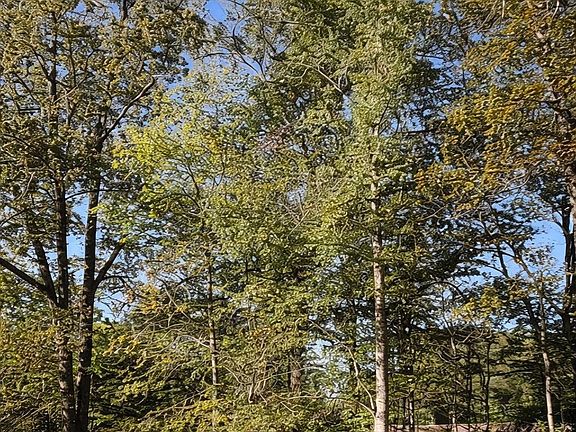 2nd image of Lots Old Live Oak Dr