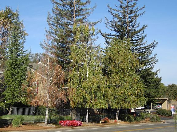 4th image of 2529 Greenwood Ln