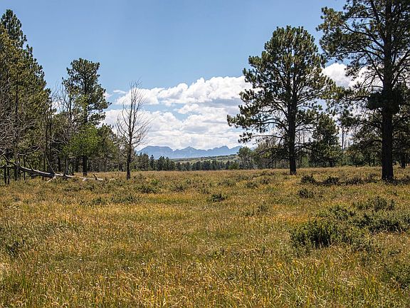 pasture